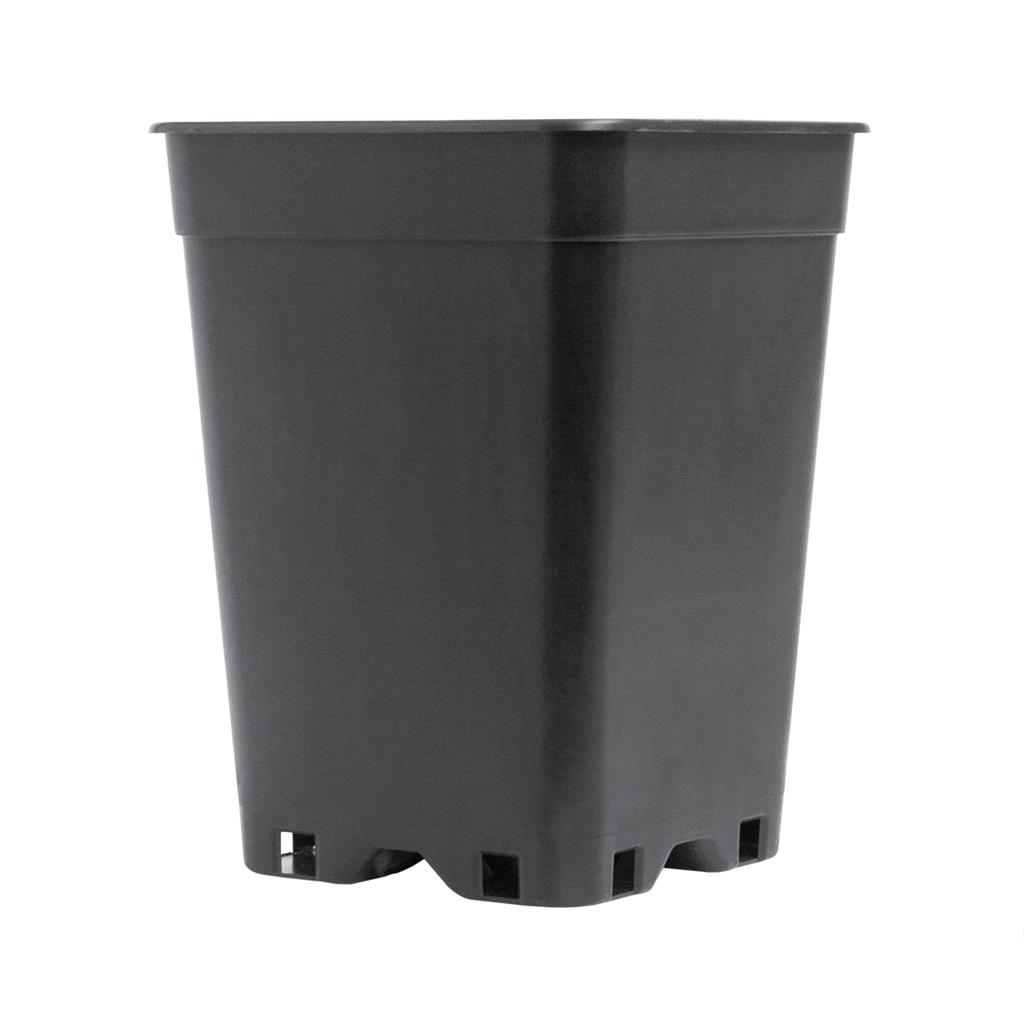 PotKing Square Pot 10cm - 1L