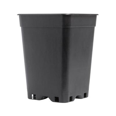 PotKing Square Pot 10cm - 1L