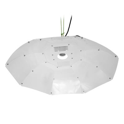 Sun King Reflector Parabolico Blanco -Medio 80 cm 