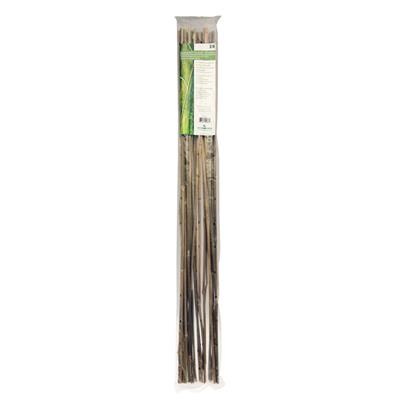 Tuteurs bambou (120cm) - pack de 25