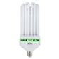 300W EnviroGro Super Cool CFL Lamp - 14000K